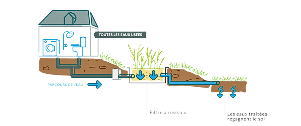 Qu'est ce que la phytoépuration ?